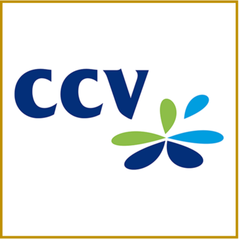 CCV PAYMENTS