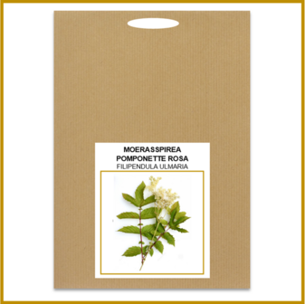 MOERASSPIREA