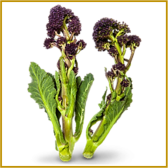 ASPERGEBROCCOLI 