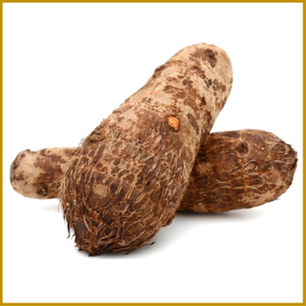 CHINESE YAM 