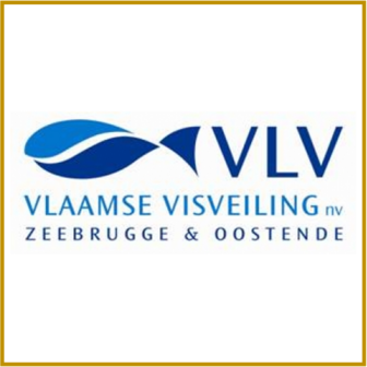 BE - 8380 - VLAAMSE VISVEILING