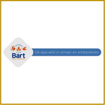 BE - 8370  - MOSSELHANDEL BART