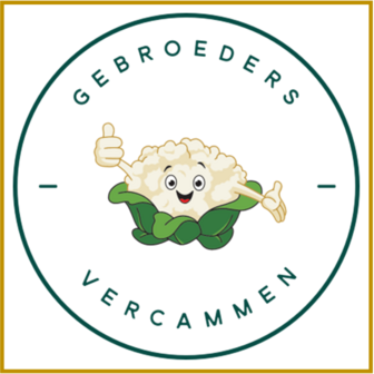 BE 2520 - GEBROEDERS VERCAMMEN