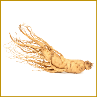 GINSENG - GEDROOGD - GEMALEN