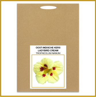 OOST-INDISCHE KERS - LADYBIRD CREAM - ZADEN