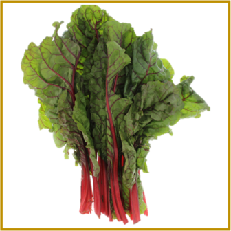 SNIJBIET - RHUBARB CHARD - ZADEN