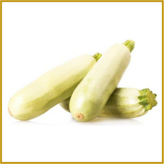 COURGETTE - BLANCO MEDIO LARGO - ZADEN