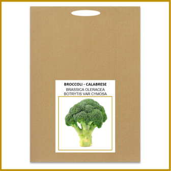 BROCCOLI - CALABRESE - ZADEN