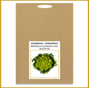 BLOEMKOOL - ROMANESCO - ZADEN