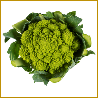 BLOEMKOOL - ROMANESCO - ZADEN