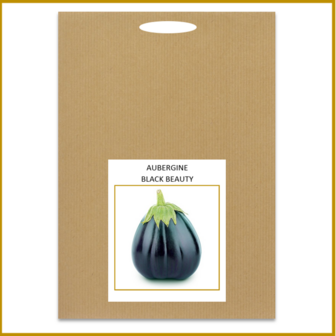 AUBERGINE - BLACK BEAUTY - ZADEN