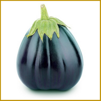 AUBERGINE - BLACK BEAUTY - ZADEN