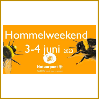 HOMMELWEEKEND - GENT