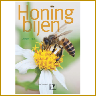 HONINGBIJEN