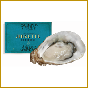 OESTER - HOLLE - FR - FINE DE CLAIR - N&deg;3