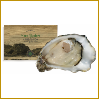 OESTER - HOLLE - IR - ROCK OYSTER - N&deg;3