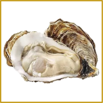 OESTERS - EUROPESE MIX