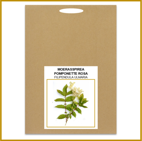 MOERASSPIREA