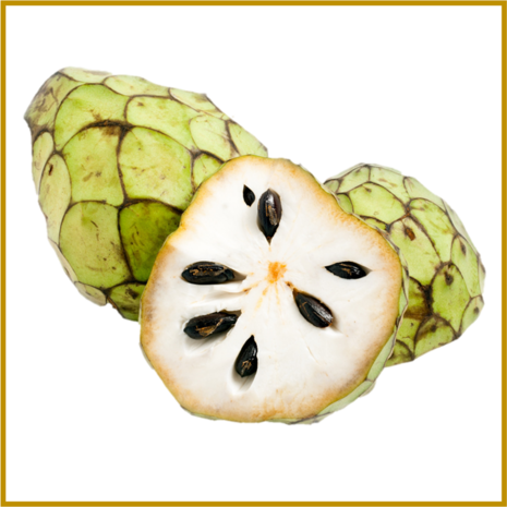 CHERIMOYA 