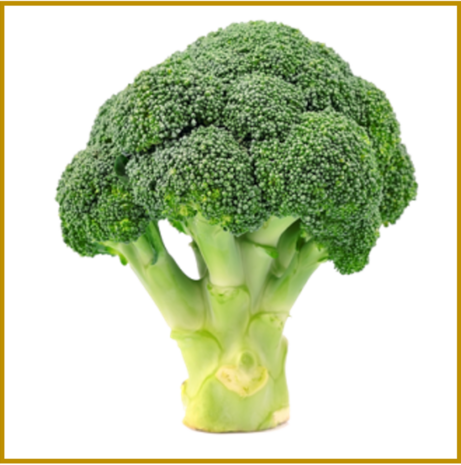 BROCCOLI - GEDROOGD - POEDER