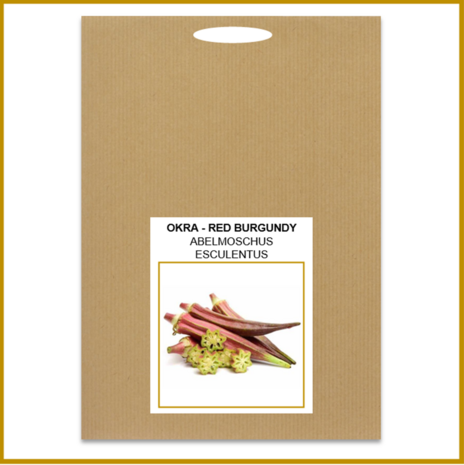 OKRA - RED BURGUNDY - ZADEN