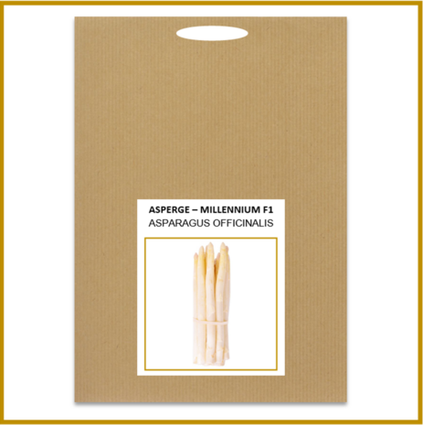 ASPERGE - MILLENNIUM F1 - ZADEN