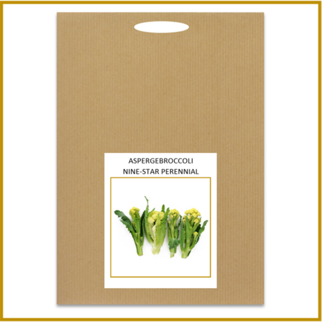 ASPERGEBROCCOLI - NINE STAR PERENNIAL - ZADEN