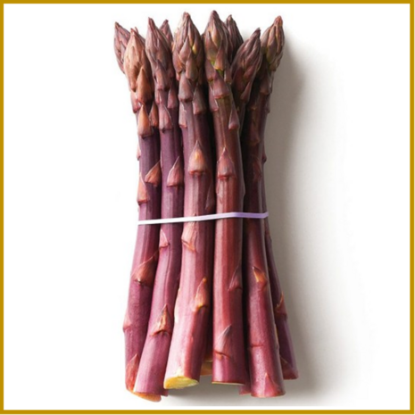 ASPERGE - PURPLE PASSION - ZADEN