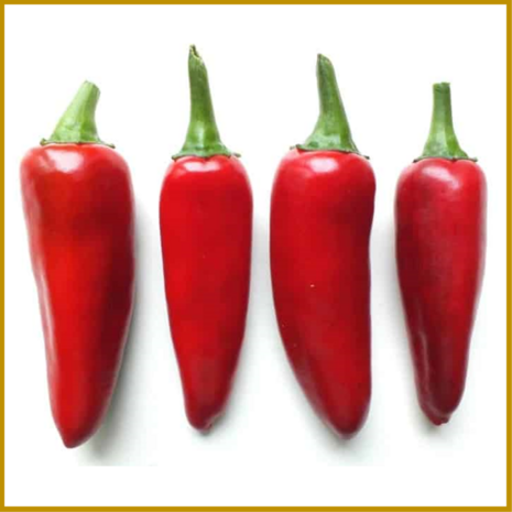 CHILIPEPER - SERRANO - ZADEN