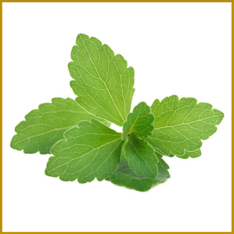 STEVIA - GEDROOGD - POEDER