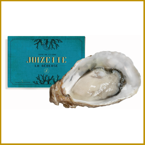 OESTER - HOLLE - FR - FINE DE CLAIR - N°3